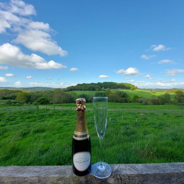 Small bottle of champagne with glass sat on a wall with a view over greenery and farmland